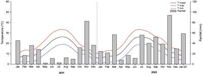 Architectural approach to evaluate the design and management of almond cultivars suitable for super high-density orchards